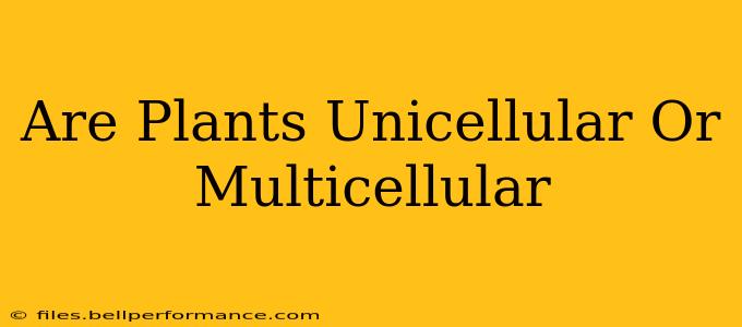Are Plants Unicellular Or Multicellular