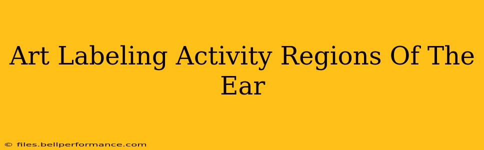 Art Labeling Activity Regions Of The Ear
