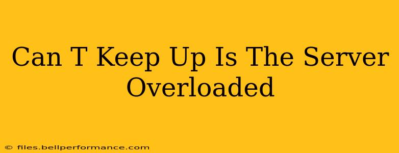 Can T Keep Up Is The Server Overloaded