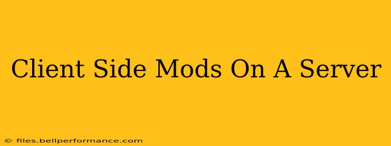Client Side Mods On A Server