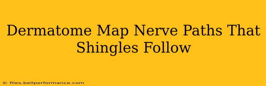 Dermatome Map Nerve Paths That Shingles Follow