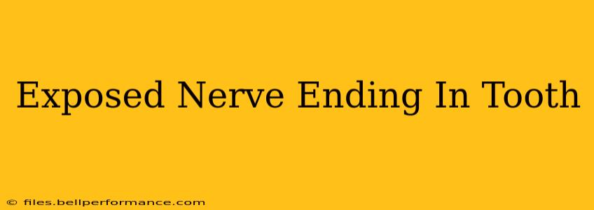 Exposed Nerve Ending In Tooth