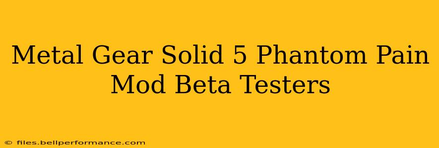 Metal Gear Solid 5 Phantom Pain Mod Beta Testers