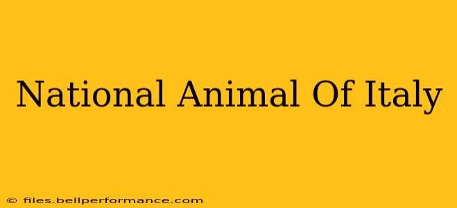 National Animal Of Italy