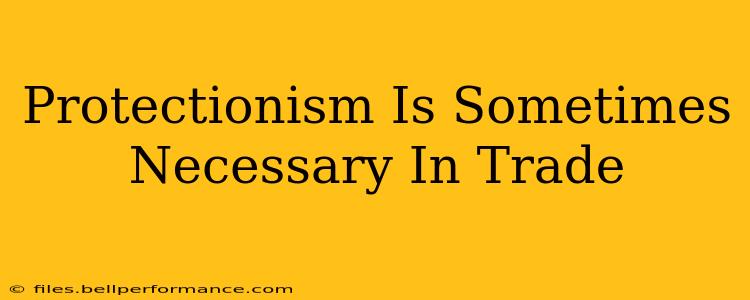 Protectionism Is Sometimes Necessary In Trade