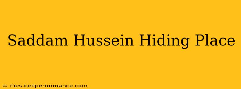 Saddam Hussein Hiding Place