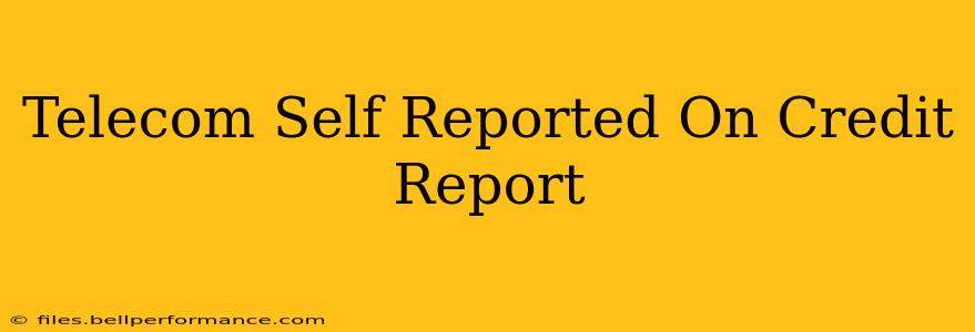 Telecom Self Reported On Credit Report