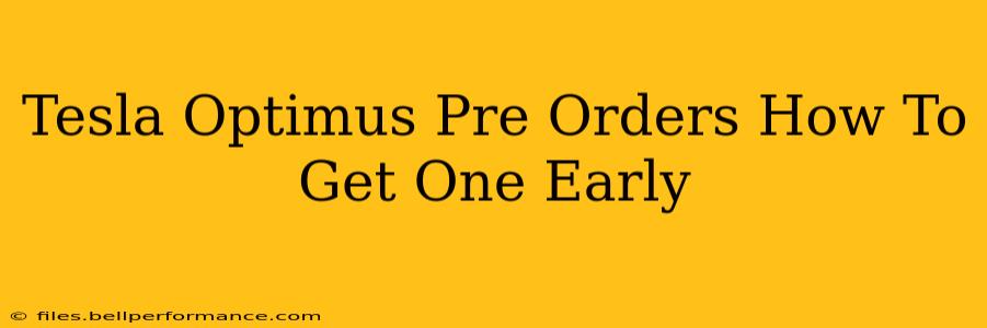 Tesla Optimus Pre Orders How To Get One Early