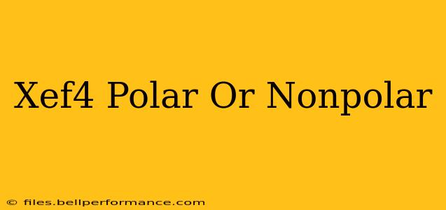 Xef4 Polar Or Nonpolar